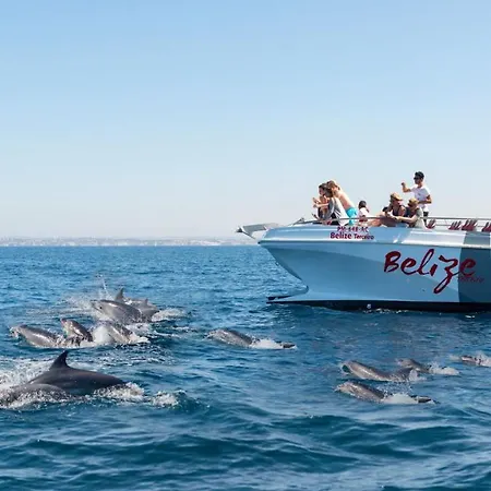 Appartement T2 Salgados *